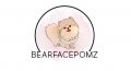 Pomeranian Puppies, Cute Toy & Teacup Sizes