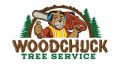 Business removal tree service