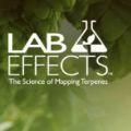 Lab Effects