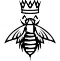 AZ Bee Kings