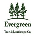 Evergreen Tree & Landscaping Company