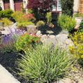 Livermore Landscaping Pros