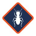 Affordable Termite Control - Santa Ana