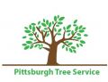 Pittsburgh Tree Service