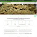 Buy Marijuana Online at medicalweedsuplies. com