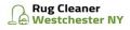 Professional Carpet Cleaning Companies