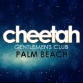 Cheetah Palm Beach