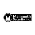 Mammoth Security Inc. Old Saybrook