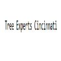 Tree Experts Cincinnati