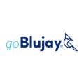 Blujay LLC