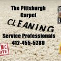 The Pittsburgh Carpet Cleaning Service Professionals