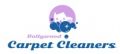 Carpet Cleaners Hollywood FL