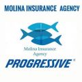 Molina Insurance Agency, LLC