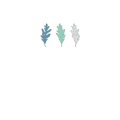 Oakland Coffee & Juice Bar