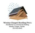 Wesley Chapel Roofing Pro