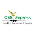 CES Express