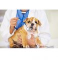 Highland Park Veterinary Clinic