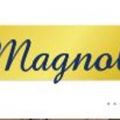 Magnolia Homes Inc.