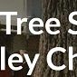 SWFL Tree Service Wesley Chapel