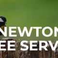 Newton Tree Service