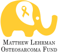 Matthew Lehrman Osteosarcoma Fund