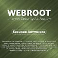 Webroot Safe Install