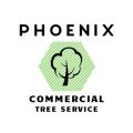 Phoenix Commercial Tree Service