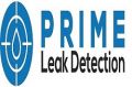 Prime leak detection