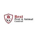 Best Pest & Animal Control