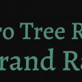 Pro Tree Removal Grand Rapids