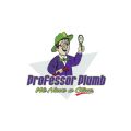 Professor Plumb, LLC
