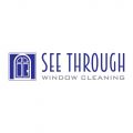 See Through Window Cleaning