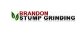 Brandon Stump Grinding