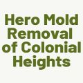 Hero Mold Removal of Colonial Heights
