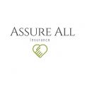 Ashley Leibowitz Insurance Broker
