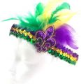 Here are some of the things you aren’t aware of about the Mardi gras