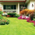 Hiring a professional landscaping company can give a new life to your residential property