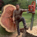 How can you handle tree problems easily?