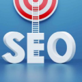 Ranking high in search engine results is critical to business success!