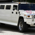 Here are the things you need to look for in the wedding car while hiring