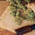 Now you can get your cannabis medication online