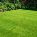 Why is it crucial to keep your lawn clean & neat?
