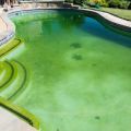 Why would you need to get rid of algae on your property?