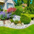 Why is it very effective to hire a professional landscaper?