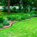 How can you guarantee the best look for your lawn?