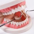 The long-term benefits of quality dental health