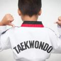 Reasons why it is advisable to learn fast-paced basic Taekwondo kicking techniques.