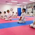 Important Facts About Self-Defense and the Sporting Aspects of Taekwondo