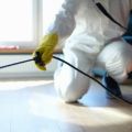 Commercial operations must maintain pest control services.