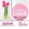 Dalias Cleaning Services
